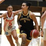 beraz roca